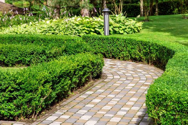 Cost of Paved Landscaping in Woodbridge