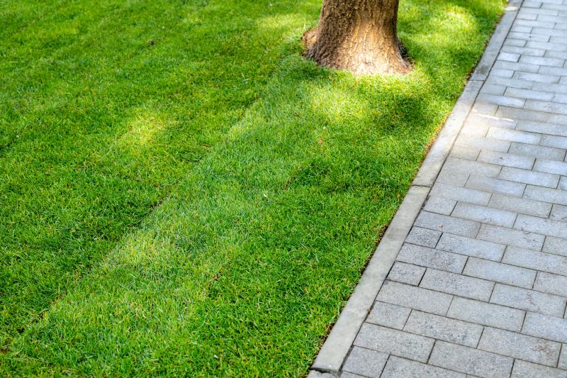 Flagstone Pathway Installation