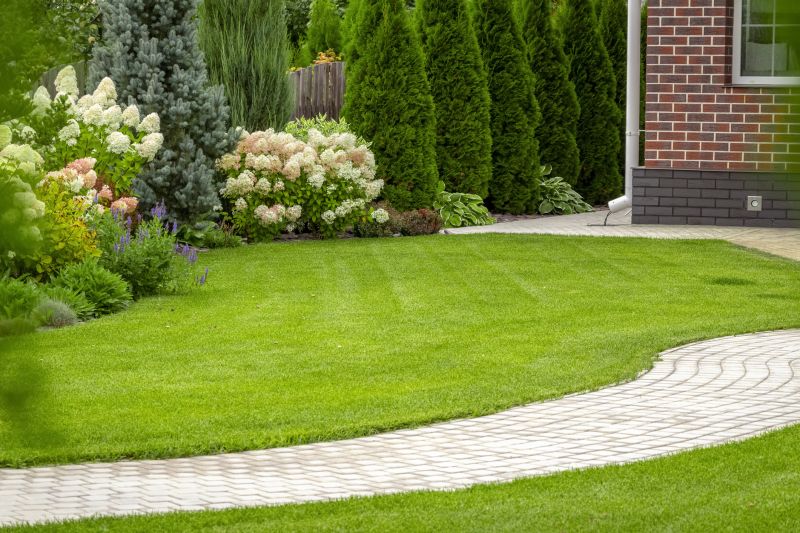 Pavers Installation