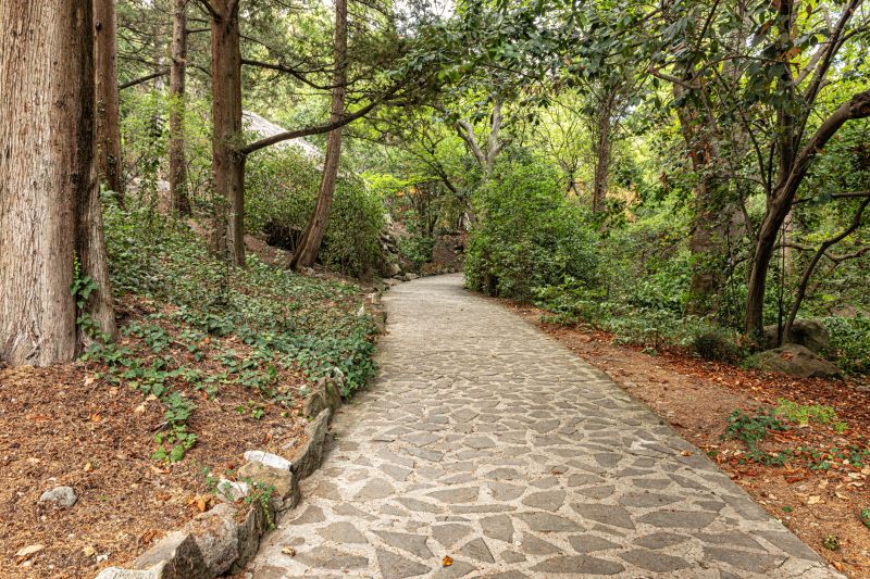 Stone Pathway Construction